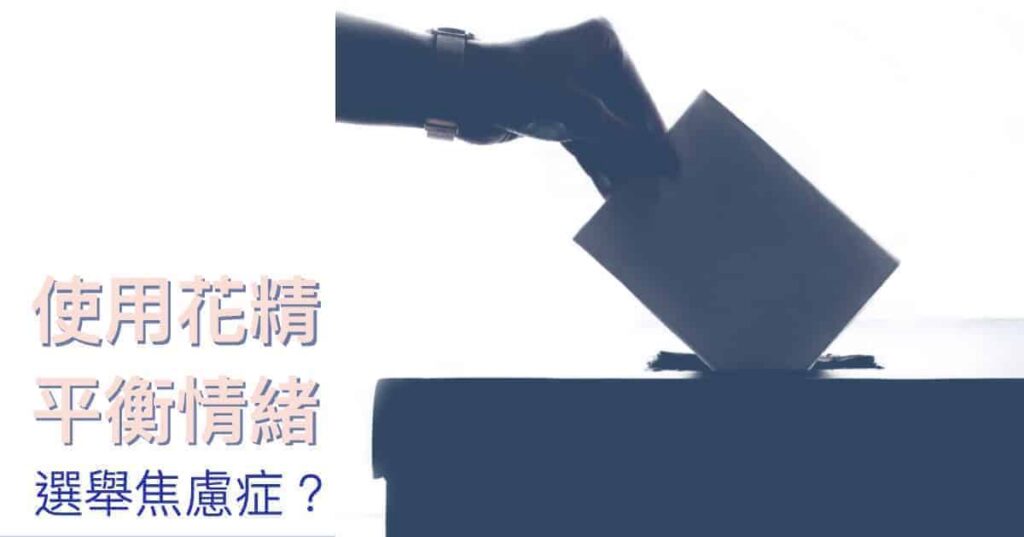 201811vote 2.jpg