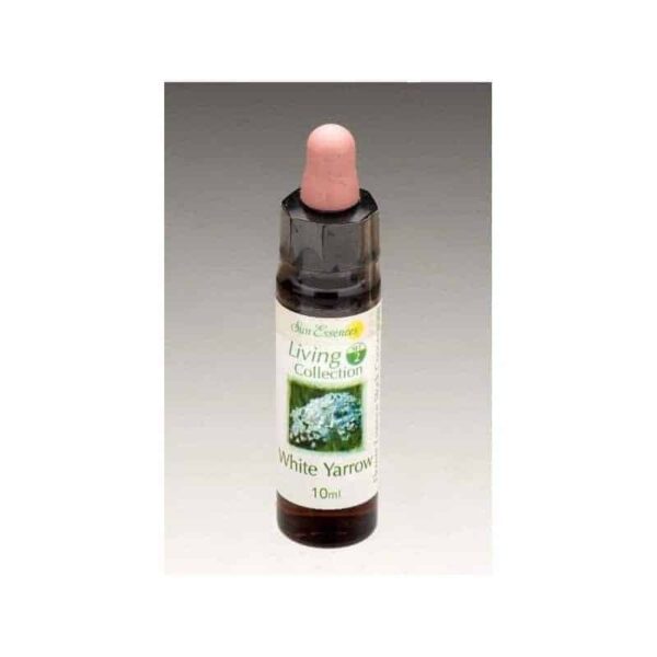白蓍草花精－環境保護：圖片 2