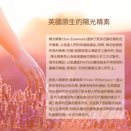 陽光精素介紹