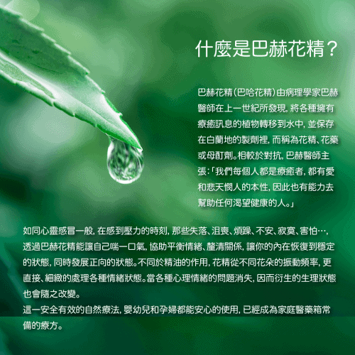 巴赫花精介紹