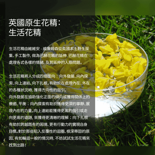 生活花精介紹