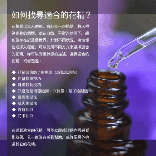 如何選擇花精