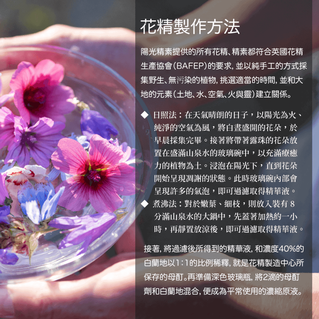 Funyu Store Site Howto Do Flower Essences