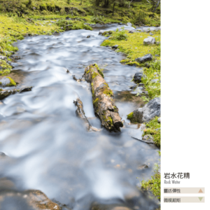 Flower essence bach 27