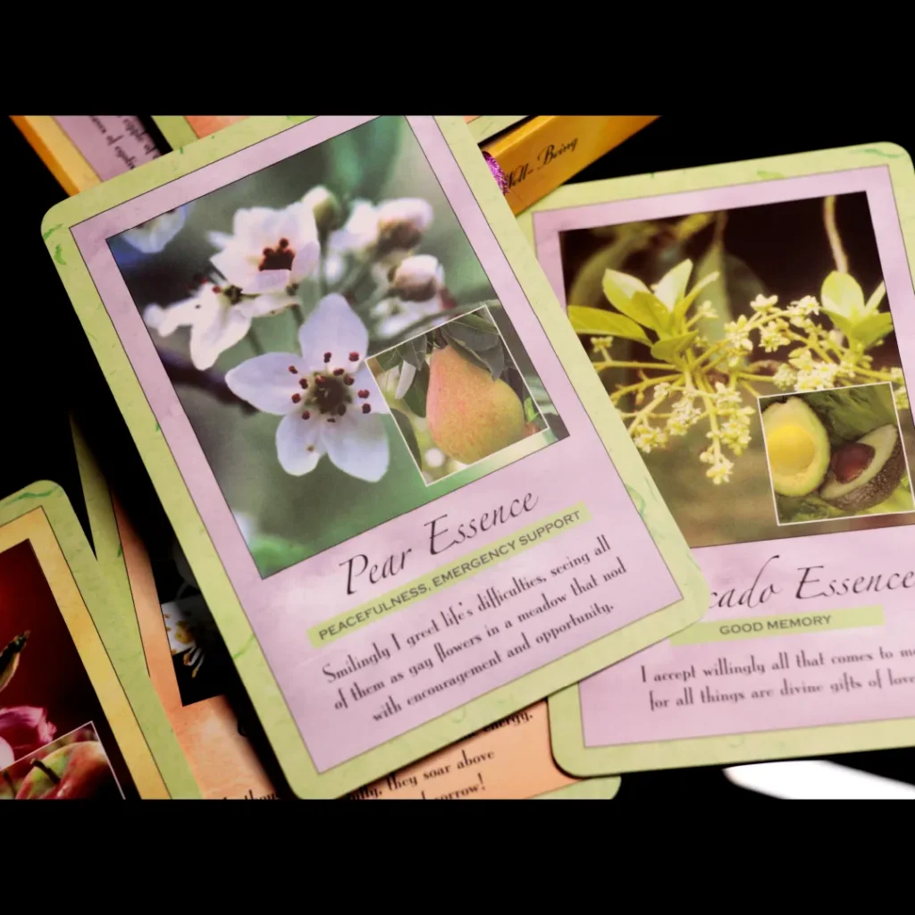 SiN web AFFIRMATION DECK