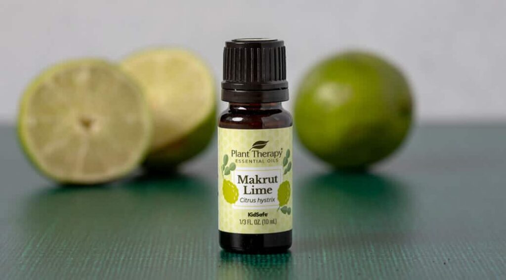 Makrut lime blog 03 1038x576 1.jpeg