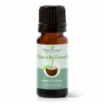 Lime In The Coconut Eo Blend 10ml 01 960x960
