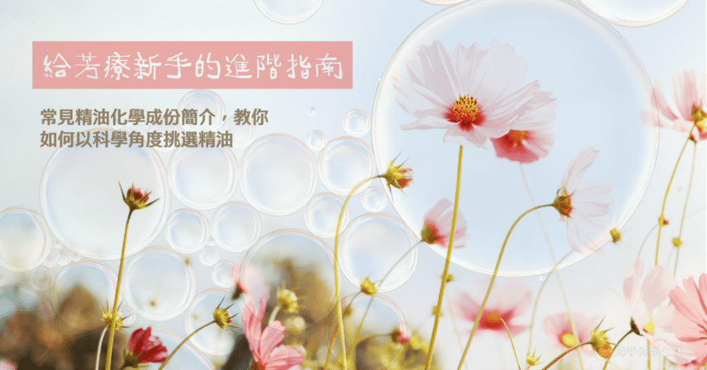 202304STORE POST W5 3 1 1.png