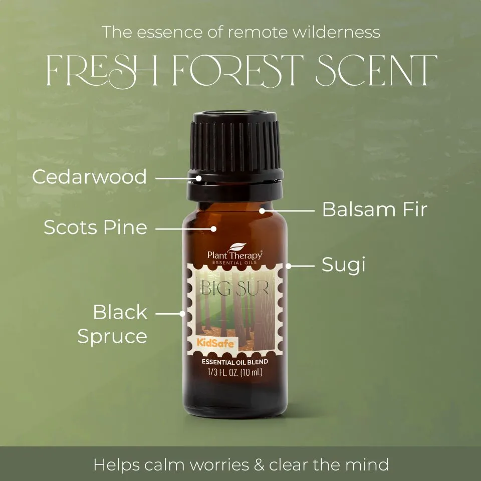 Big sur eo blend 10ml 03