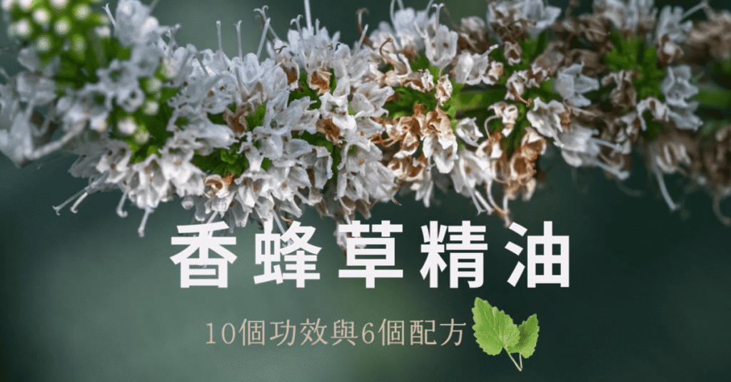 05B5F554 74AC 4231 B727 8C47F148DC3C.png