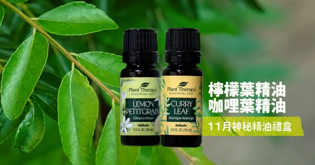 202311FYSTORE POST W3 4 4.webp