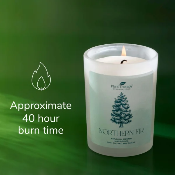 Northern Fir Naturally Scented Candle 8oz Burntime
