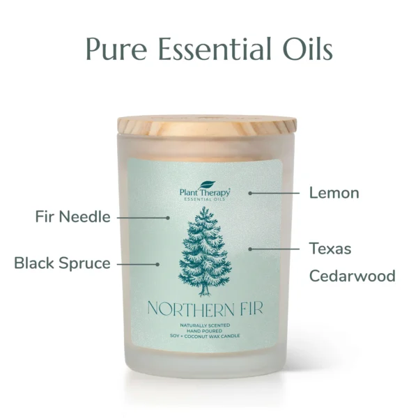 Northern Fir Naturally Scented Candle 8oz Scent