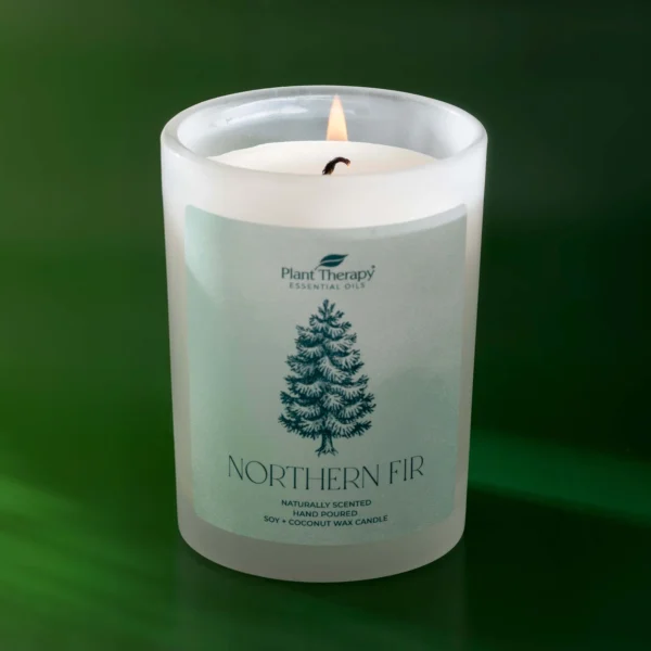 Northern Fir Naturally Scented Candle 8oz Lifestyle