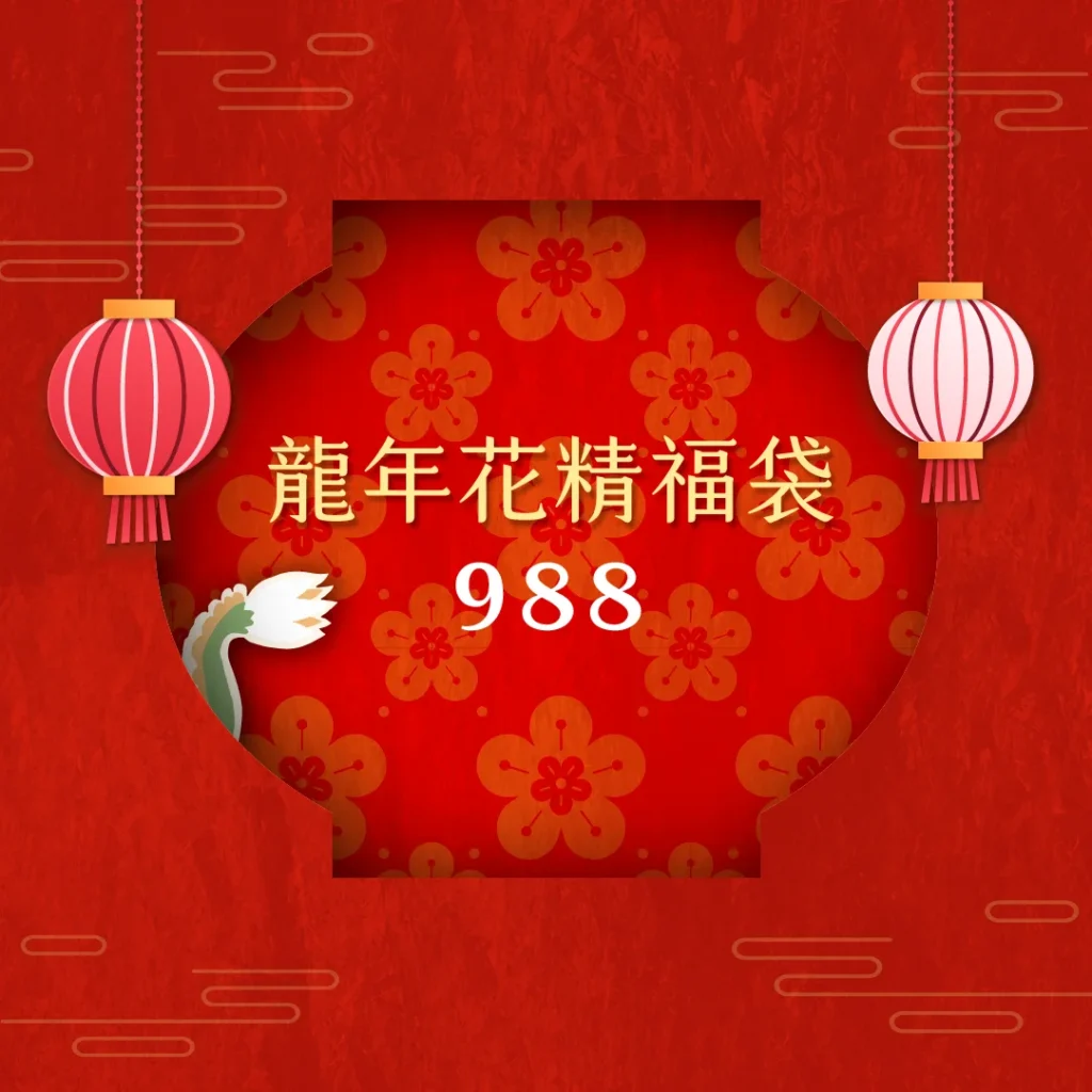 202401newyear Product 988