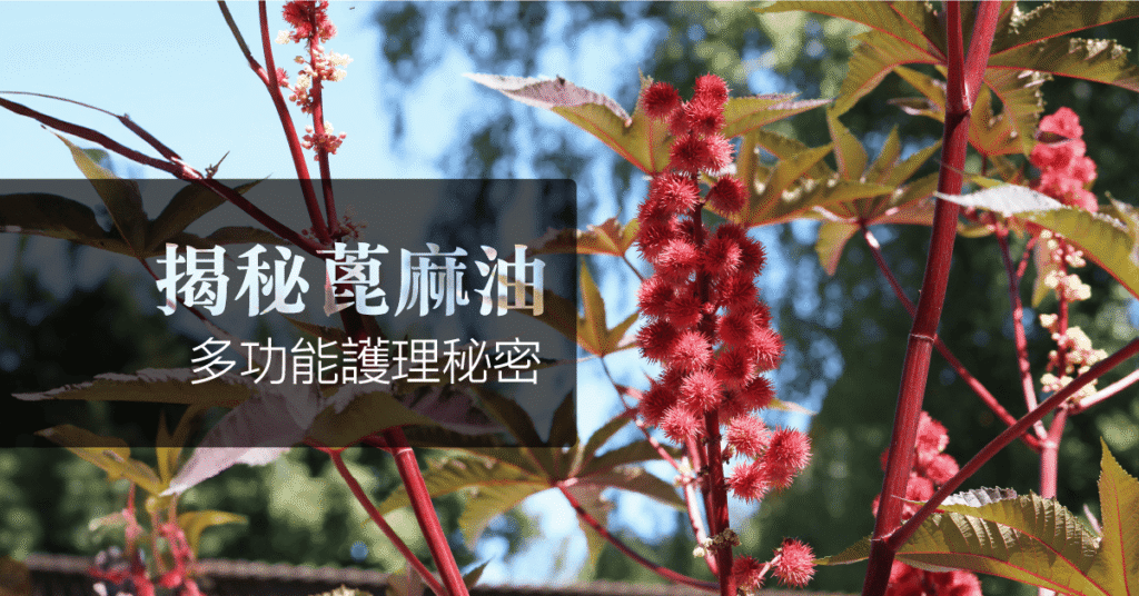 20240519STORE BLOG fb post.png