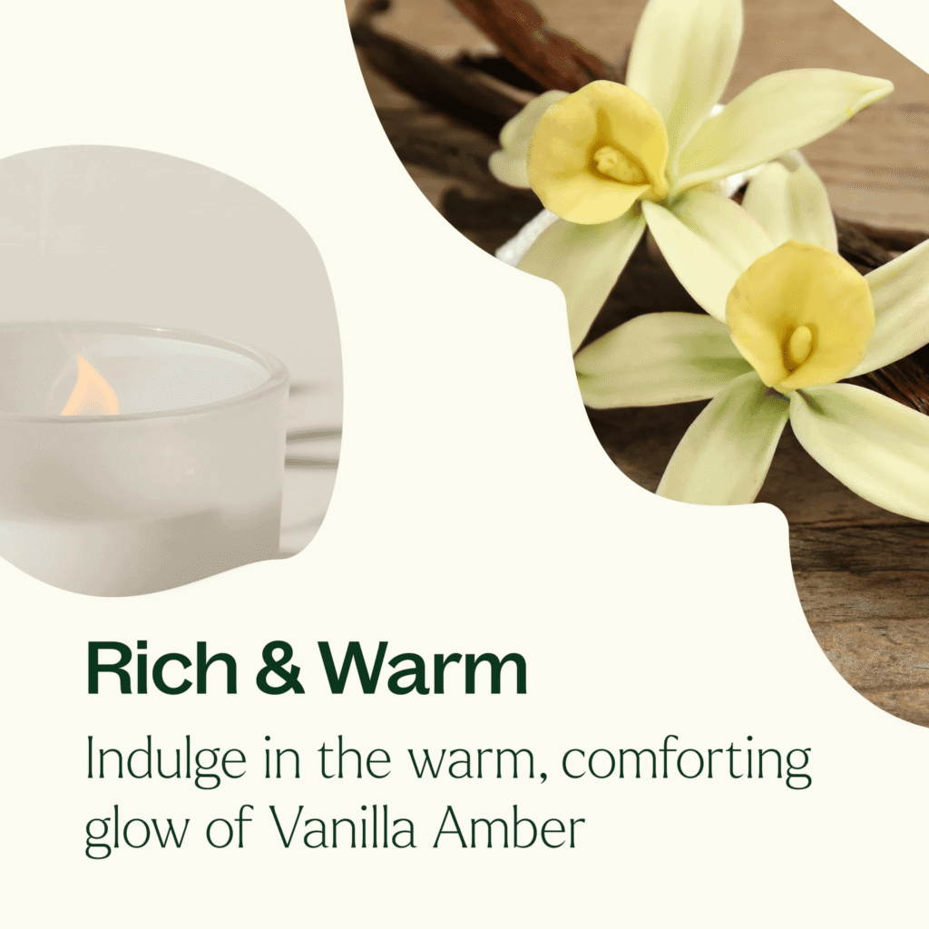 Vanilla Amber Candle