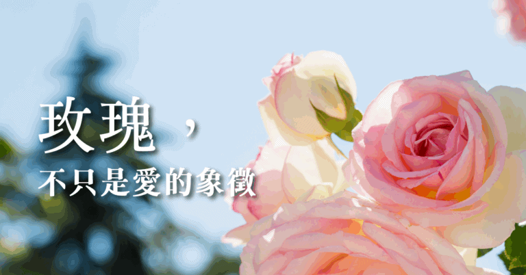 20250509 store post featured img