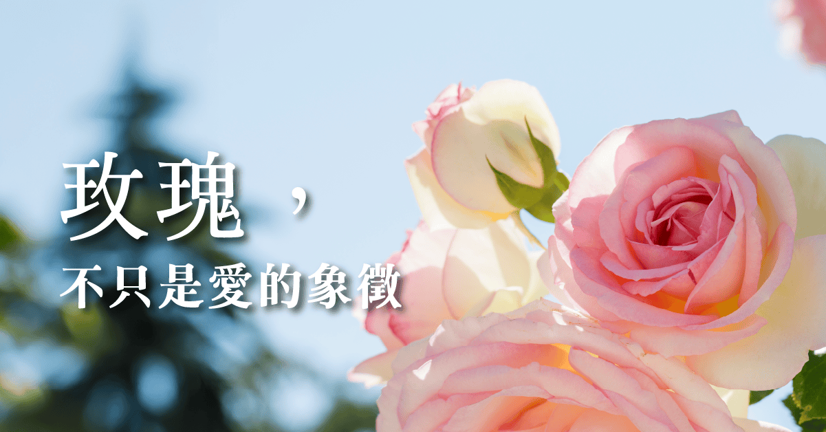 20250509 store post featured img