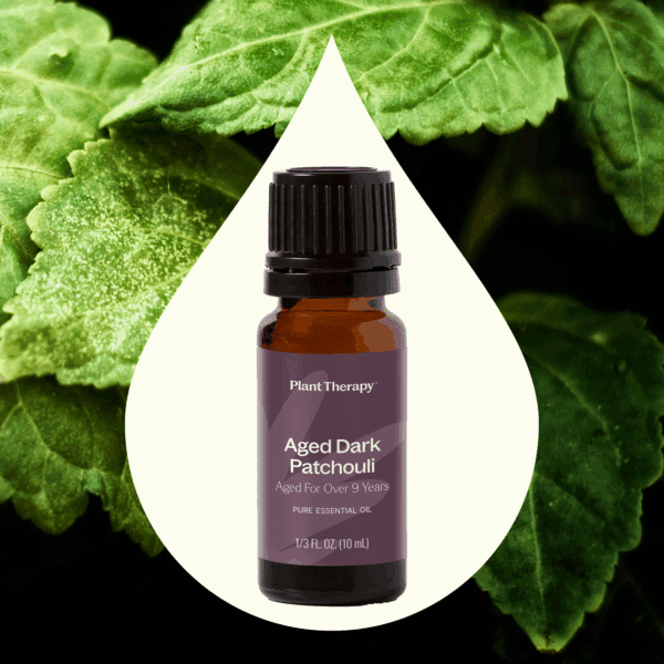 Aged dark patchouli 02
