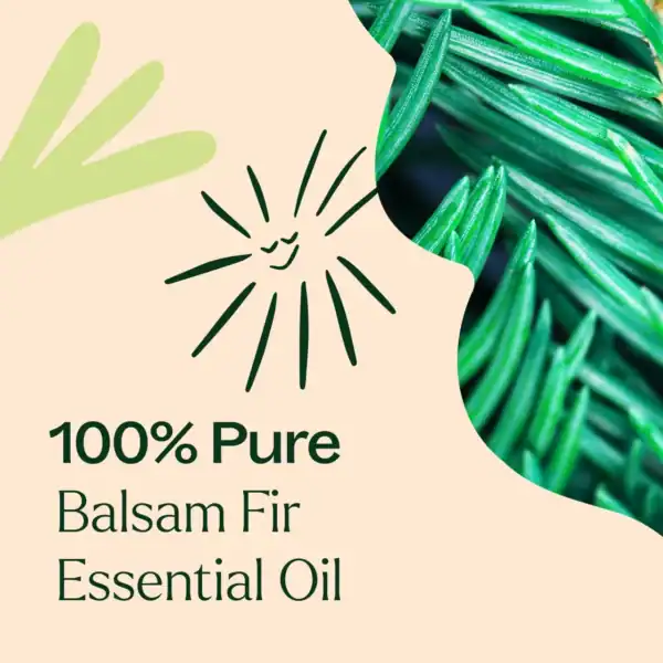 Balsam fir 10ml 04