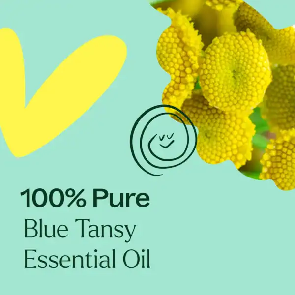 Blue tansy 2.5ml 04
