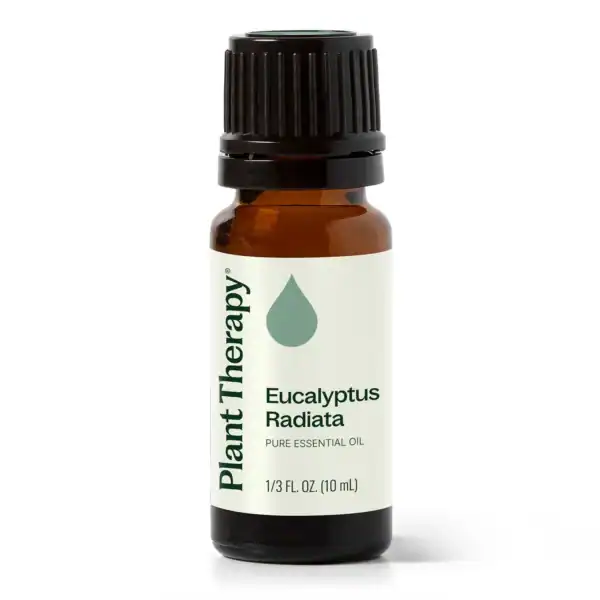Eucalyptus radiata 10ml 01