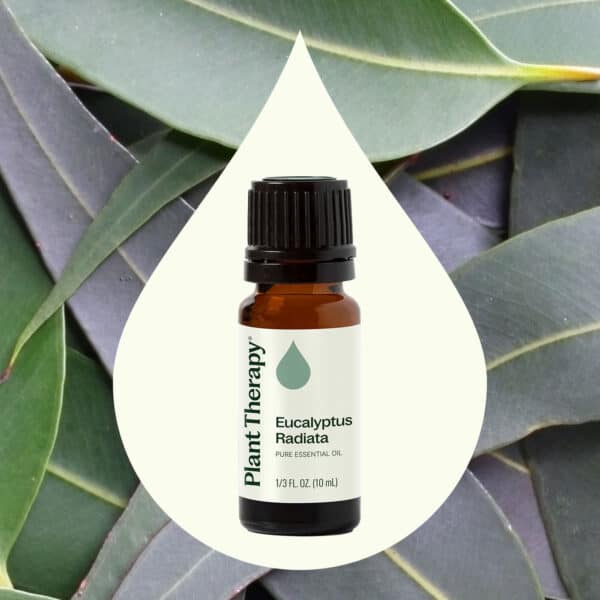 Eucalyptus radiata 10ml 03