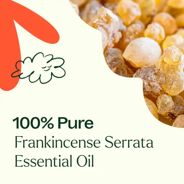 Frankincense serrata eo 10ml 04