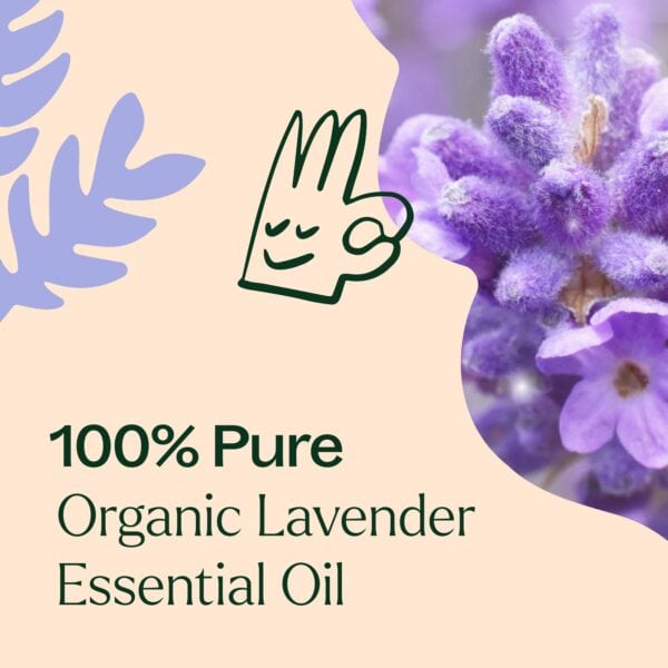 Organic lavender 04