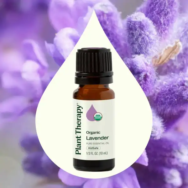 Organic lavender 10ml 03