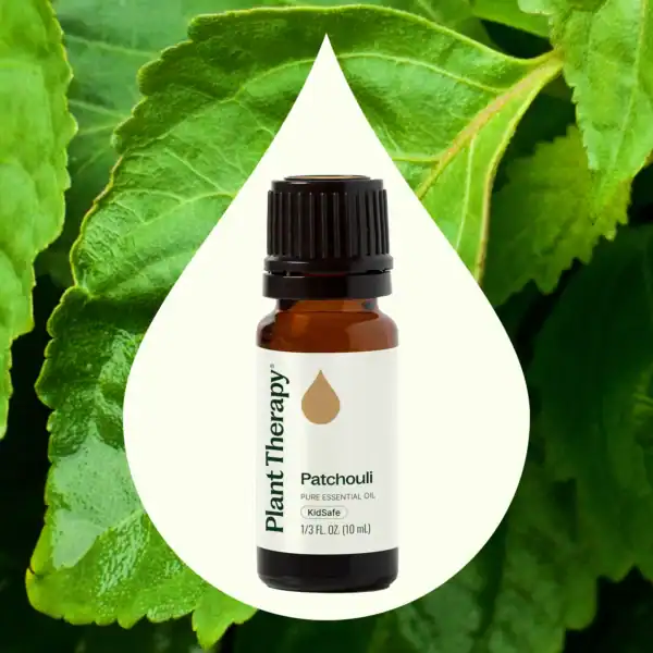 Patchouli eo 10ml 03