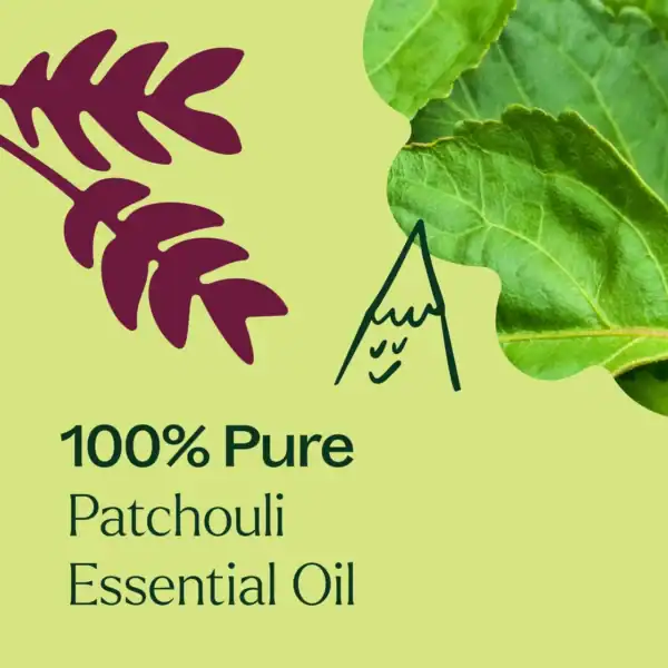 Patchouli eo 10ml 04