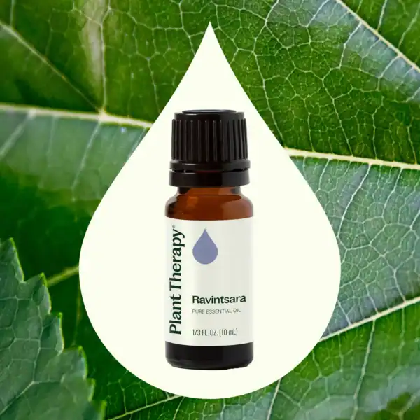 Ravintsara 10ml 03