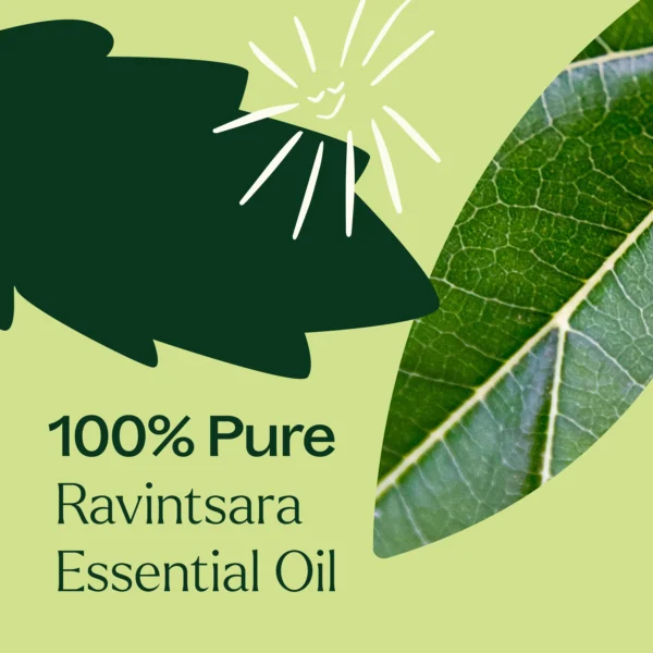 Ravintsara 10ml 04