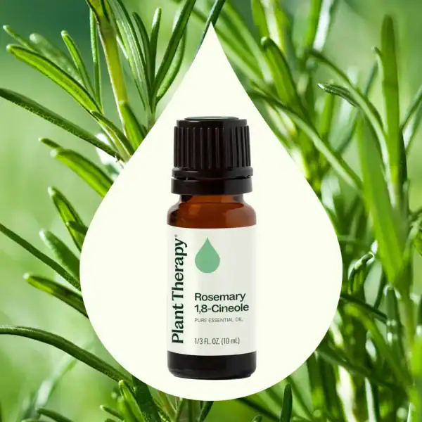 Rosemary 1 8 cineole 10ml 03