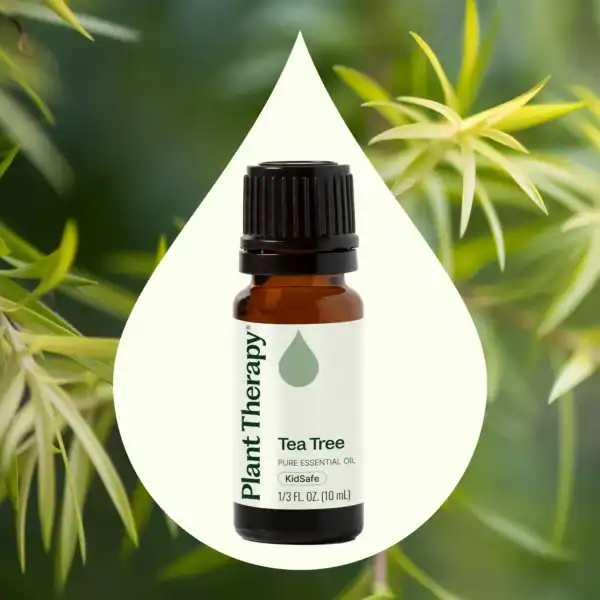 Tea tree eo 10ml 03