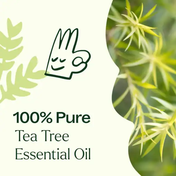 Tea tree eo 10ml 04