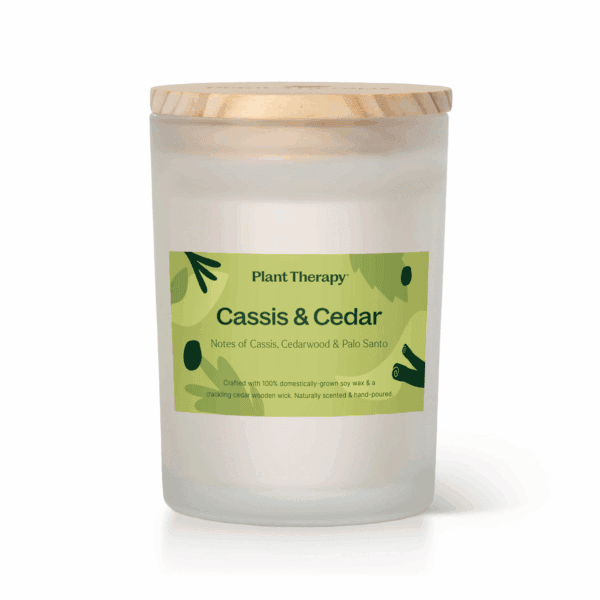 Cassis cedar candle 01