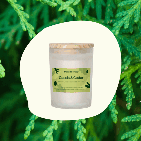 Cassis cedar candle 02
