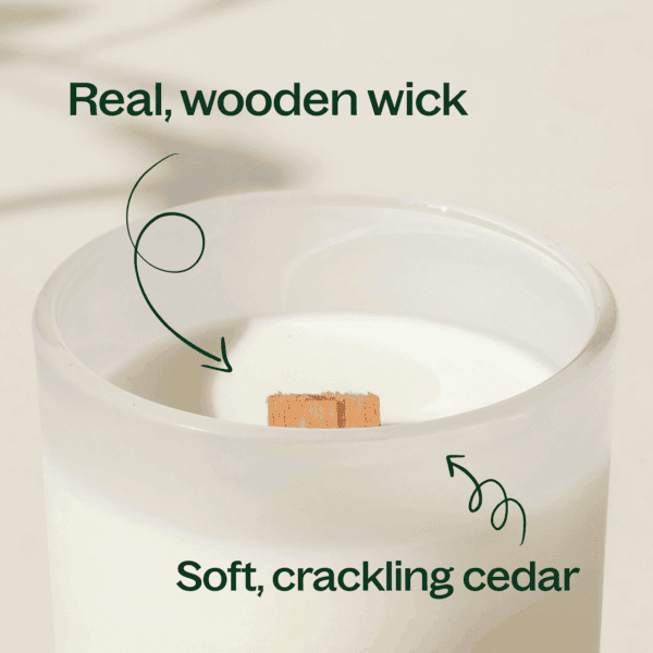 Cassis cedar candle 08