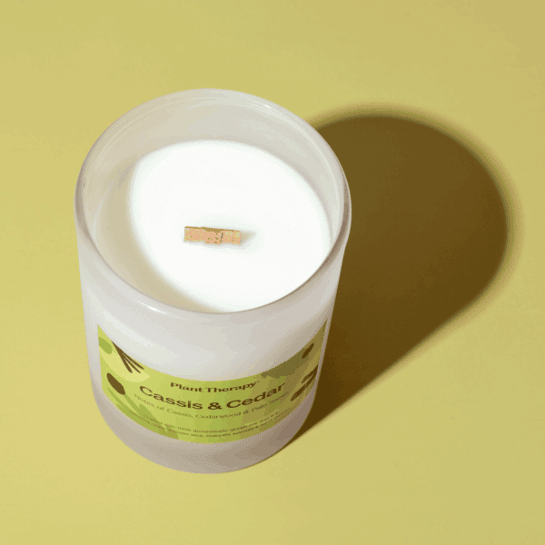 Cassis cedar candle 10