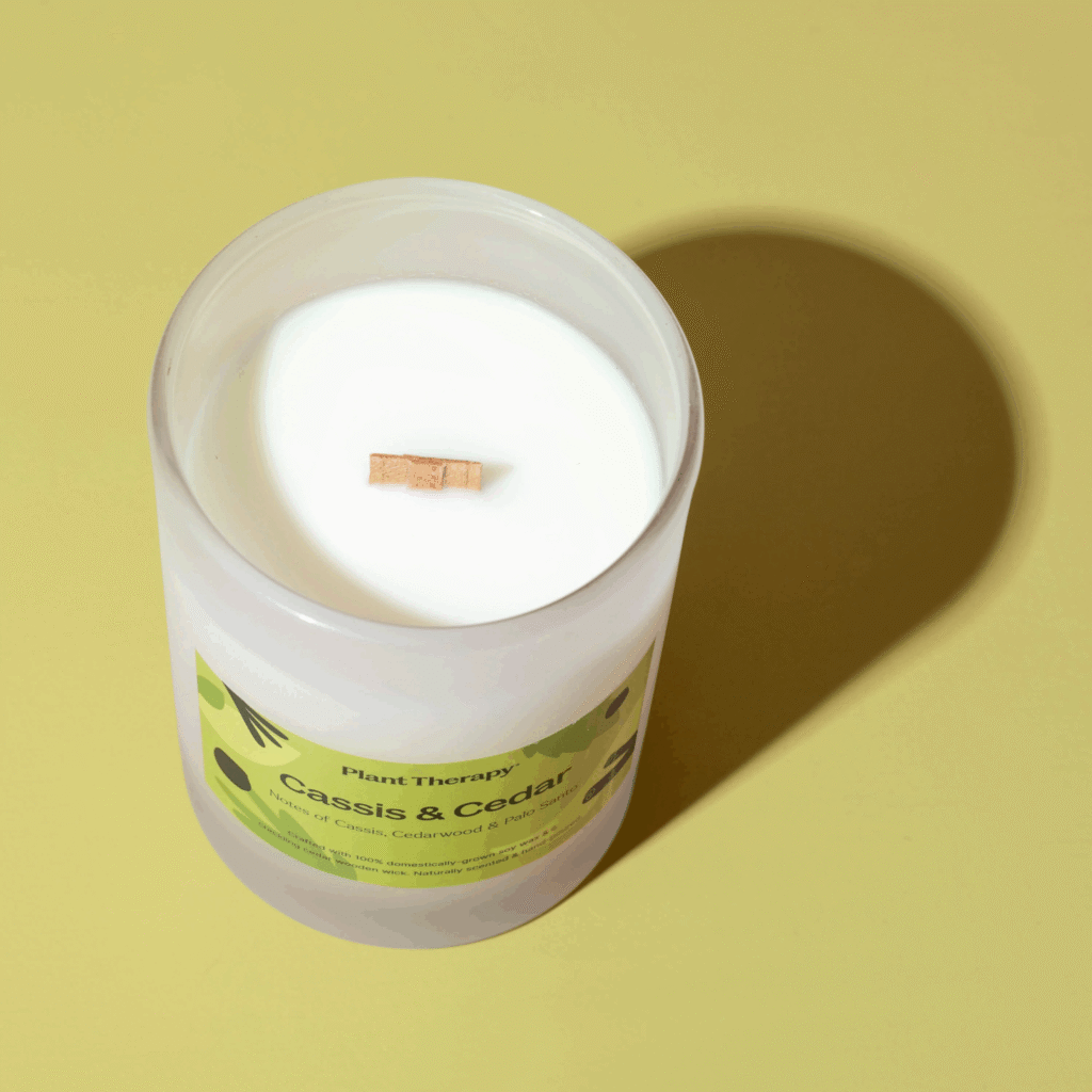 Cassis Cedar Candle 10 scaled