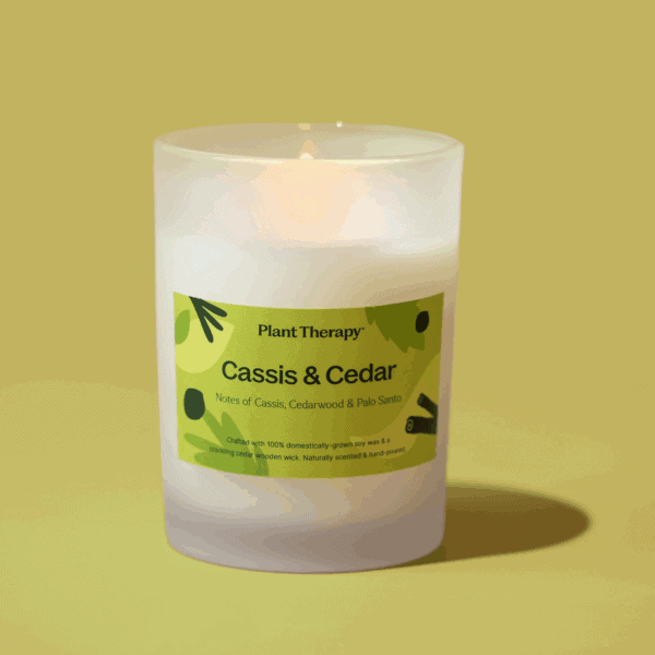 Cassis cedar candle 11