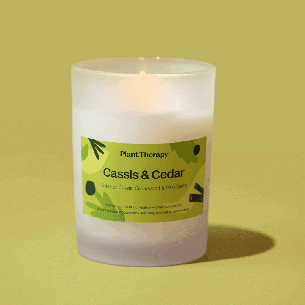 Cassis Cedar Candle 11 scaled