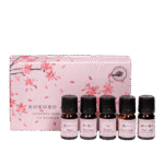 Kokoro Collection sml 06898e0a b0ee 412c afc3 921623b19333 1028x