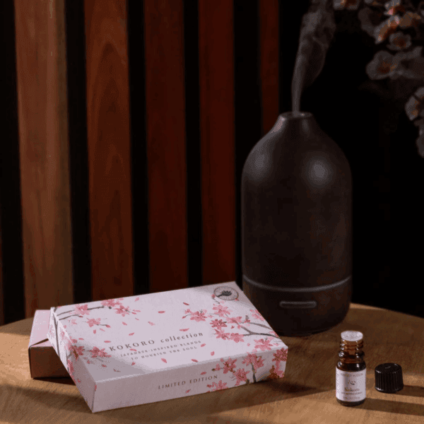 Kokorokit 2 1200x
