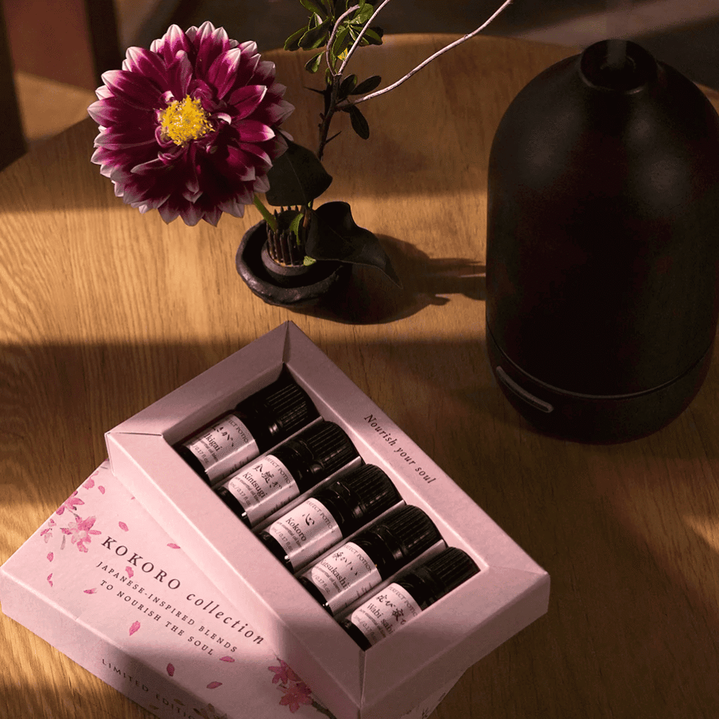 KokorokitinthesunlightSQR 1026x