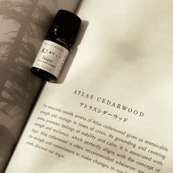 Ikigai cedarwoodsqr 1000x