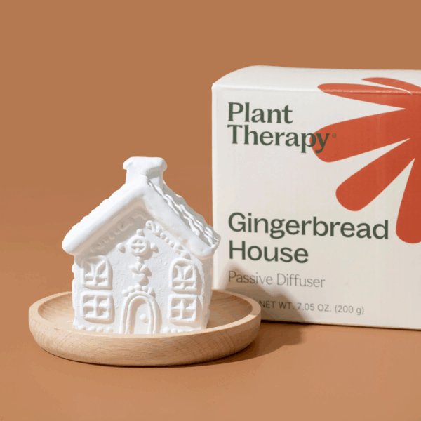 Gingerbread house passive diffuser
